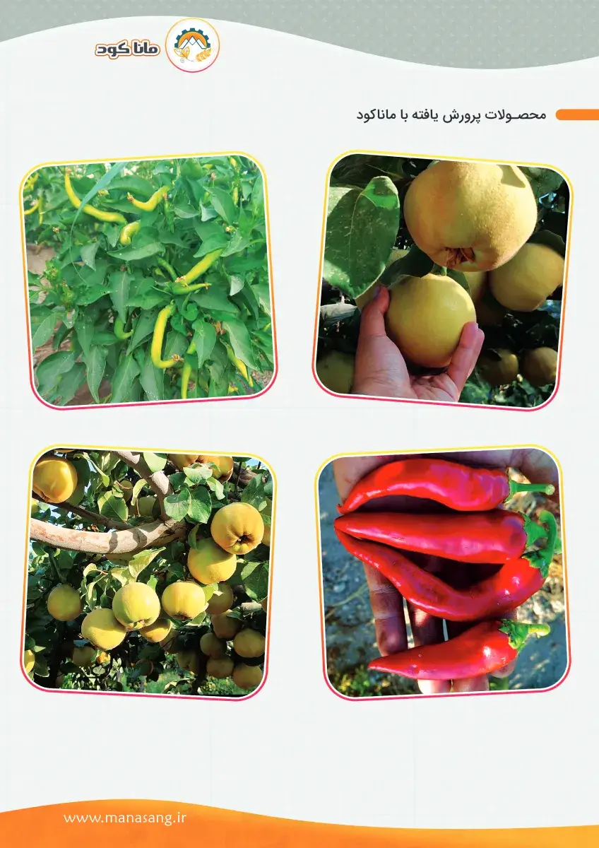 کاتالوگ ماناکود